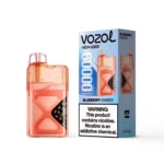 Vozol Neon 60000 Blueberry Energy